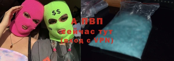 прущие грибы Балабаново