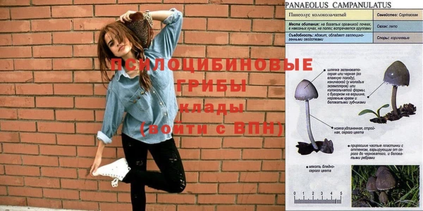прущие крисы Балахна