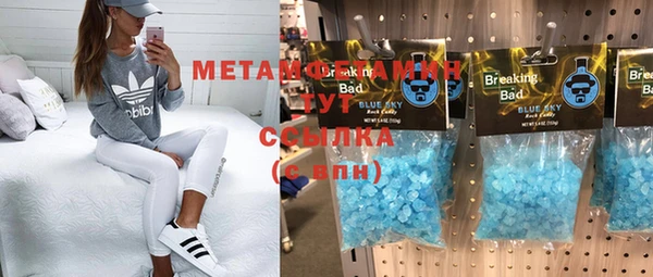 прущие грибы Балабаново