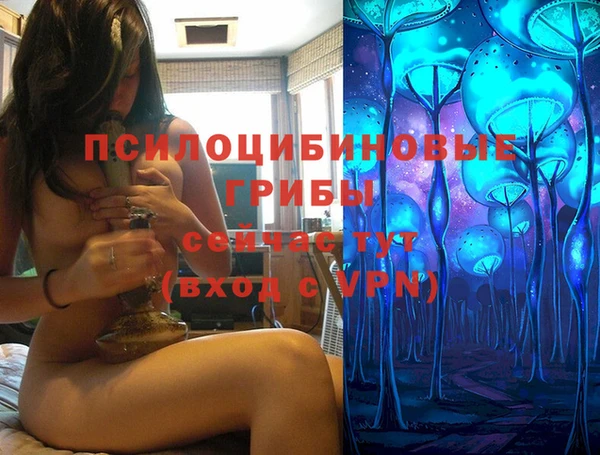 прущие грибы Балабаново