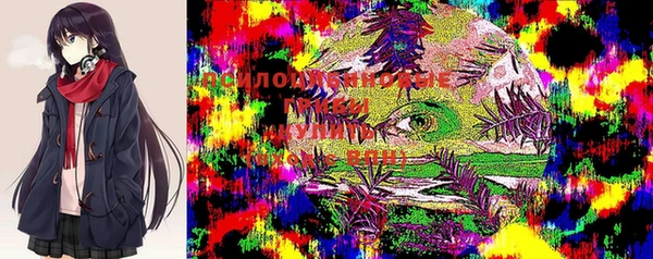 прущие крисы Балахна