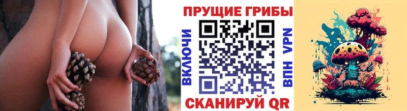как найти закладки  Кулебаки  Псилоцибиновые грибы MAGIC MUSHROOMS 